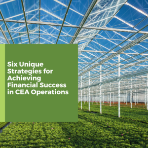 Six Unique Strategies for Achieving Financial Success in CEA Operations